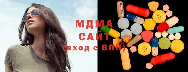 СК Алексин