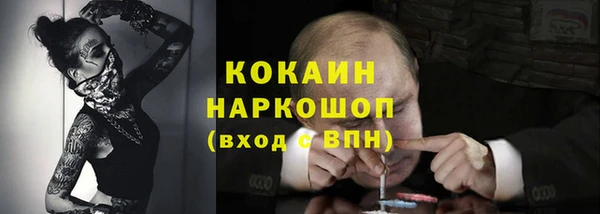 СК Алексин