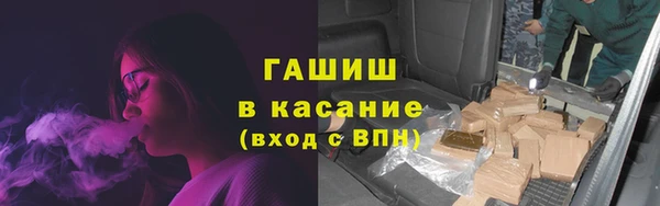 прущие грибы Алзамай