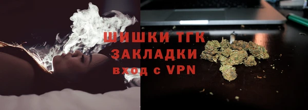 СК Алексин