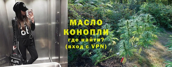 прущие грибы Алзамай