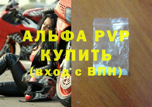 СК Алексин