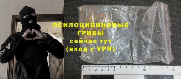прущие грибы Алзамай