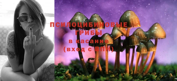 СК Алексин