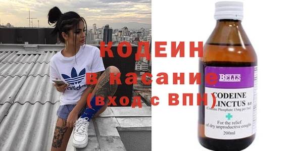 прущие грибы Алзамай