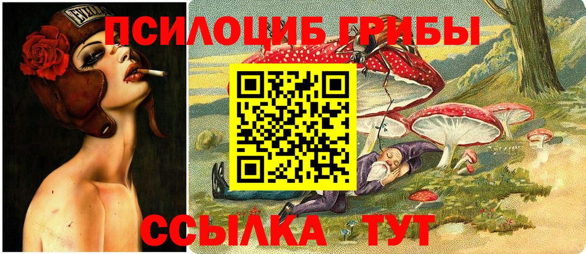 Галлюциногенные грибы Psilocybe Набережные Челны